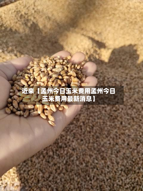 近来【孟州今日玉米费用孟州今日玉米费用最新消息】-第1张图片