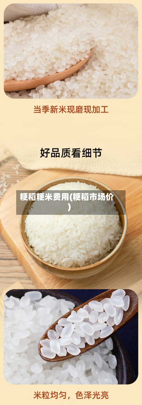 粳稻粳米费用(粳稻市场价)-第1张图片