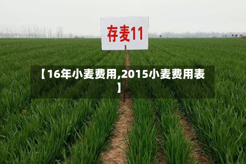 【16年小麦费用,2015小麦费用表】