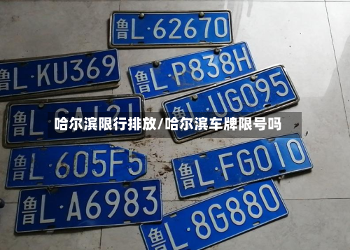 哈尔滨限行排放/哈尔滨车牌限号吗