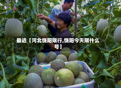 最近【河北饶阳限行,饶阳今天限什么号】