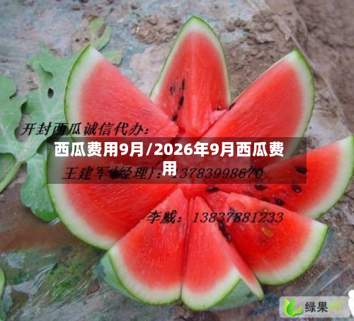 西瓜费用9月/2026年9月西瓜费用