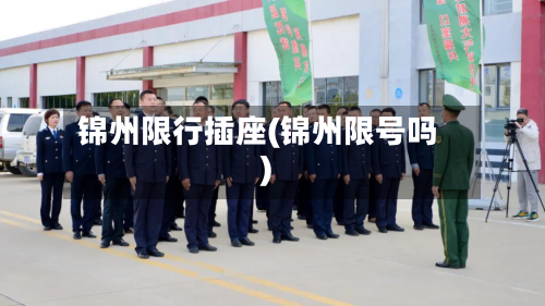 锦州限行插座(锦州限号吗)