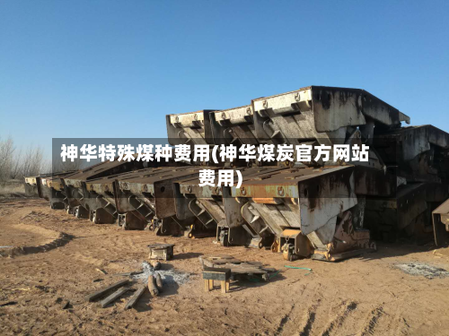 神华特殊煤种费用(神华煤炭官方网站费用)