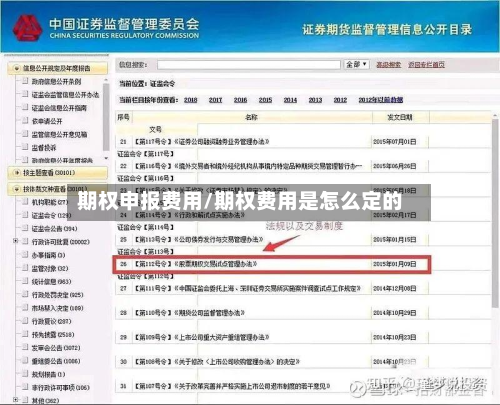 期权申报费用/期权费用是怎么定的-第1张图片