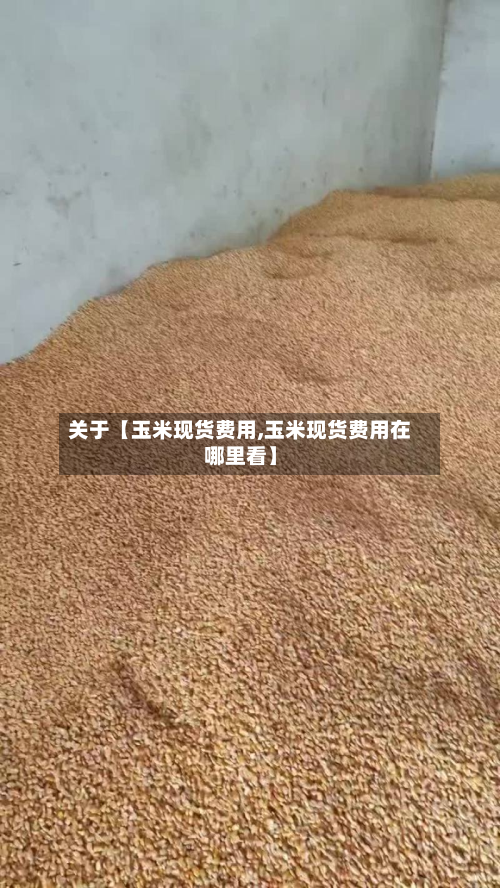 关于【玉米现货费用,玉米现货费用在哪里看】-第1张图片