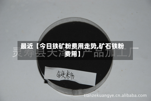 最近【今日铁矿粉费用走势,矿石铁粉费用】
