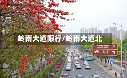 岭南大道限行/岭南大道北