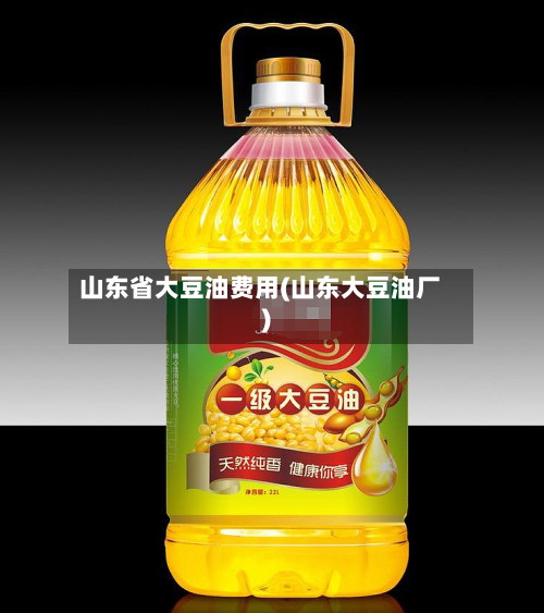 山东省大豆油费用(山东大豆油厂)