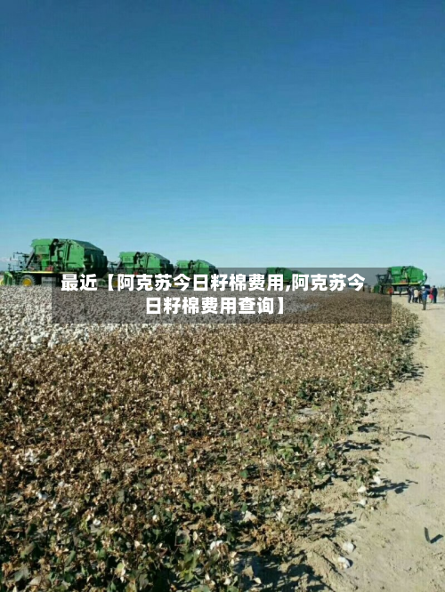 最近【阿克苏今日籽棉费用,阿克苏今日籽棉费用查询】