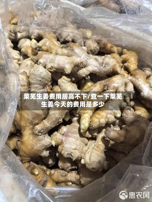 莱芜生姜费用居高不下/查一下莱芜生姜今天的费用是多少