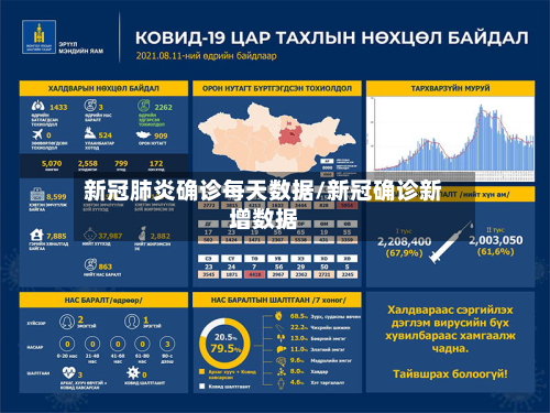 新冠肺炎确诊每天数据/新冠确诊新增数据