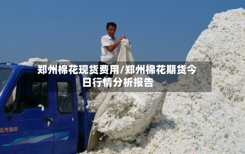 郑州棉花现货费用/郑州棉花期货今日行情分析报告