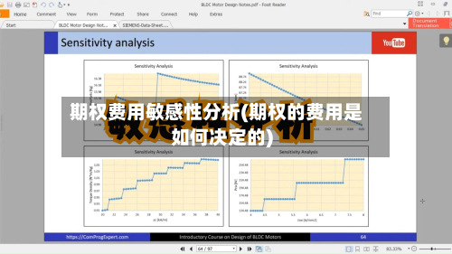 期权费用敏感性分析(期权的费用是如何决定的)