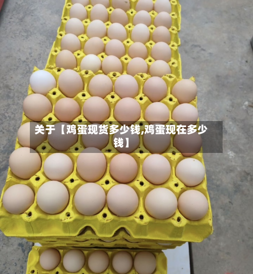 关于【鸡蛋现货多少钱,鸡蛋现在多少钱】