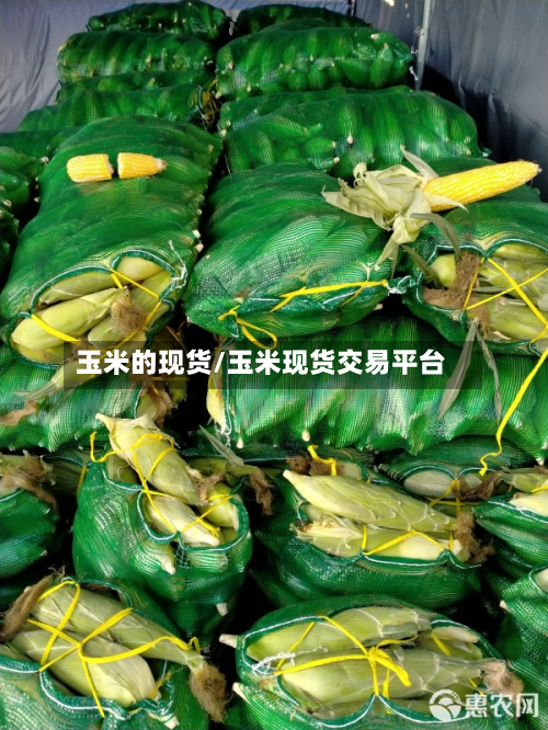 玉米的现货/玉米现货交易平台