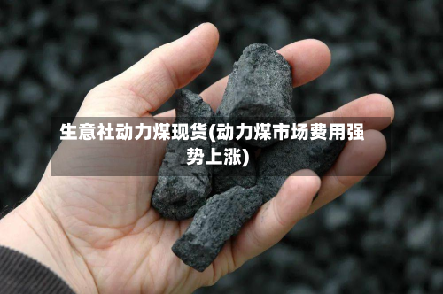 生意社动力煤现货(动力煤市场费用强势上涨)