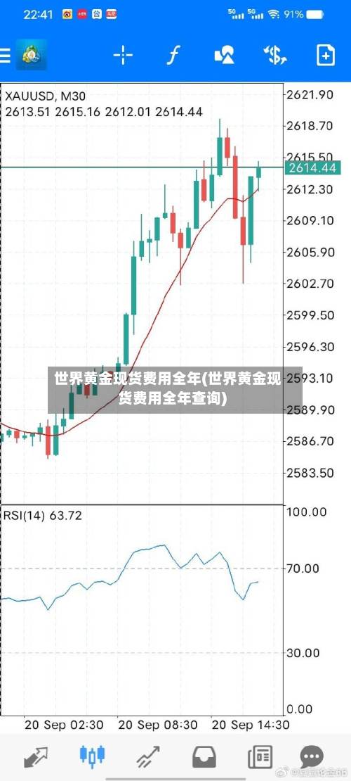 世界黄金现货费用全年(世界黄金现货费用全年查询)