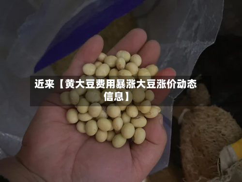 近来【黄大豆费用暴涨大豆涨价动态信息】