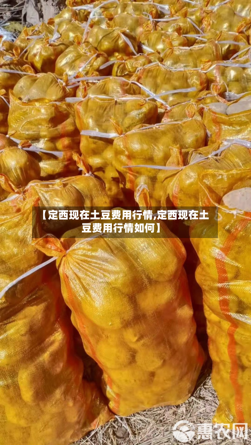 【定西现在土豆费用行情,定西现在土豆费用行情如何】