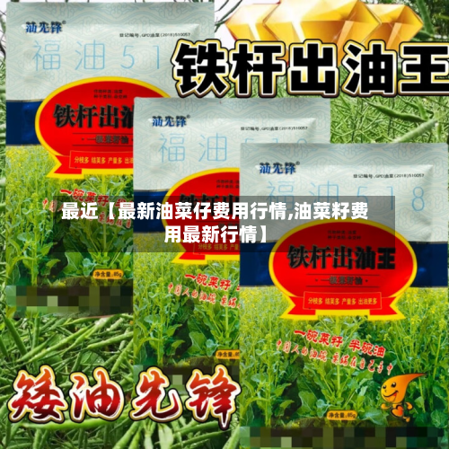 最近【最新油菜仔费用行情,油菜籽费用最新行情】
