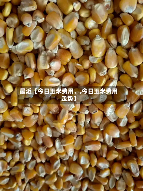 最近【今日玉米费用、,今日玉米费用走势】