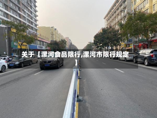 关于【漯河食品限行,漯河市限行规定】