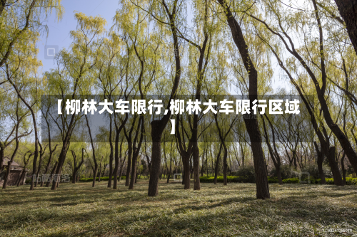 【柳林大车限行,柳林大车限行区域】-第1张图片