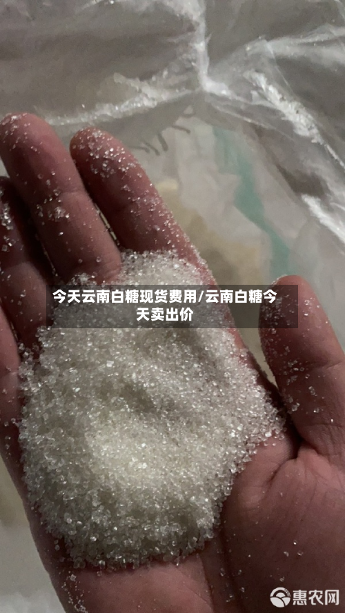 今天云南白糖现货费用/云南白糖今天卖出价