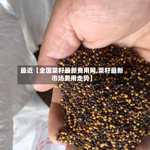 最近【全国菜籽最新费用网,菜籽最新市场费用走势】-第1张图片
