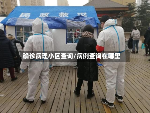 确诊病理小区查询/病例查询在哪里-第1张图片