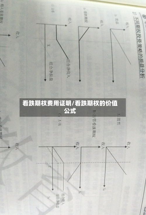 看跌期权费用证明/看跌期权的价值公式-第1张图片