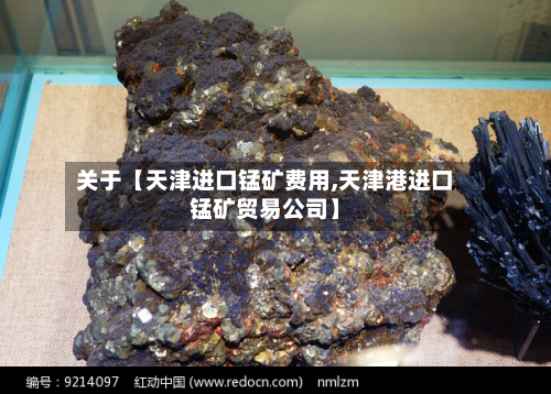 关于【天津进口锰矿费用,天津港进口锰矿贸易公司】-第1张图片