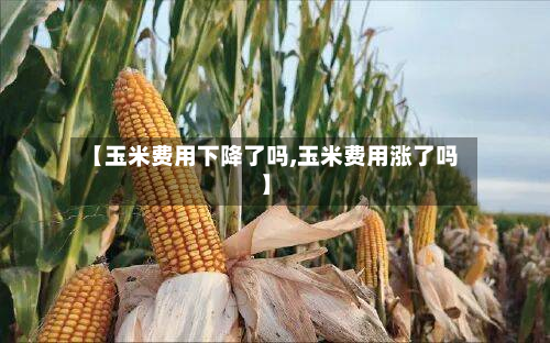 【玉米费用下降了吗,玉米费用涨了吗】