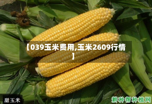 【039玉米费用,玉米2609行情】