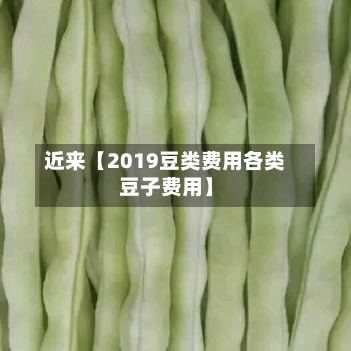 近来【2019豆类费用各类豆子费用】