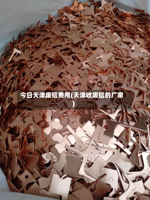 今日天津废铝费用(天津收废铝的厂家)