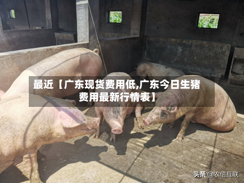 最近【广东现货费用低,广东今日生猪费用最新行情表】