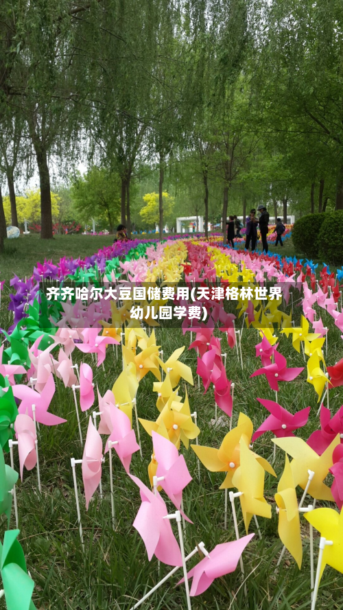 齐齐哈尔大豆国储费用(天津格林世界幼儿园学费)