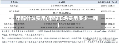 甲醇什么费用(甲醇市场费用多少一吨)