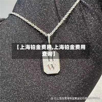 【上海铂金费用,上海铂金费用查询】