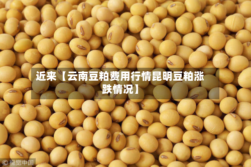 近来【云南豆粕费用行情昆明豆粕涨跌情况】
