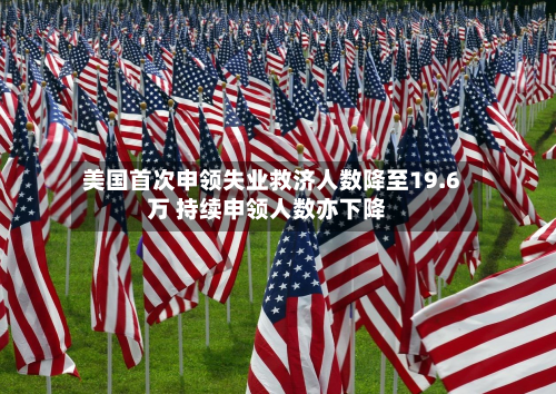 美国首次申领失业救济人数降至19.6万 持续申领人数亦下降