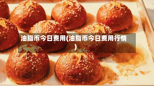 油脂币今日费用(油脂币今日费用行情)