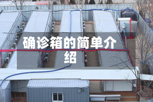 确诊箱的简单介绍