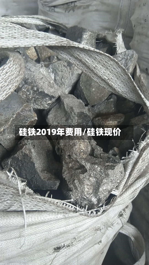 硅铁2019年费用/硅铁现价