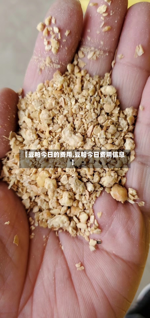 【豆粕今日的费用,豆粕今日费用信息】