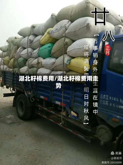 湖北籽棉费用/湖北籽棉费用走势