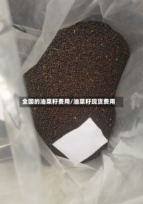 全国的油菜籽费用/油菜籽现货费用