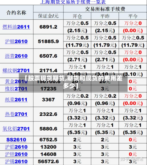 【股票现货期货,期货和现货的费用差多少】
